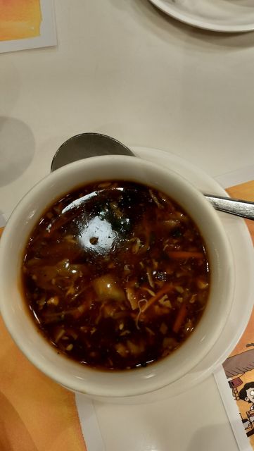 Chicken Hot & Sour Soup